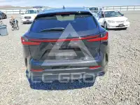2023 Lexus NX фото