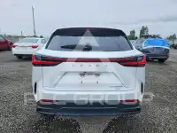 2023 Lexus NX250 фото