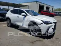 2023 Lexus NX фото
