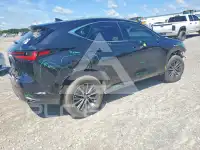 2023 Lexus NX фото