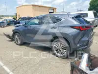 2023 Lexus NX фото