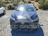 2023 Lexus NX фото