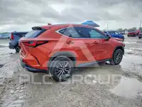 2023 Lexus NX фото