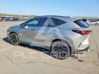 2023 Lexus NX фото
