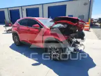 2023 Lexus NX250 фото