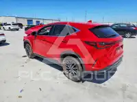 2023 Lexus NX250 фото