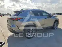 2023 Lexus NX фото