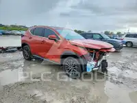 2023 Lexus NX фото