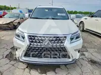 2023 Lexus GX фото