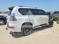 2023 Lexus GX фото