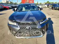 2023 Lexus UX фото