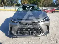 2023 Lexus NX250 фото