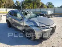 2023 Lexus NX250 фото
