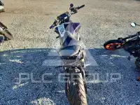 2023 Yamaha  photo