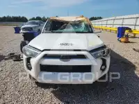 2023 Toyota 4 RUNNER photo