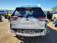 2023 Toyota RAV4 фото