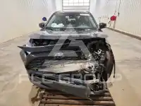 2023 Toyota RAV4 фото