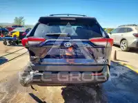 2023 Toyota RAV4 фото