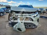 2023 Toyota RAV4 фото