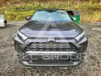 2023 Toyota RAV4 photo