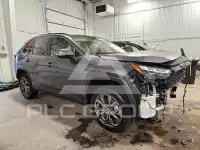 2023 Toyota RAV4 фото