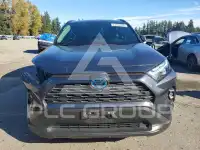 2023 Toyota RAV4 фото