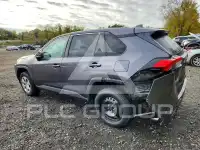 2023 Toyota RAV4 photo