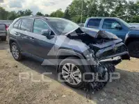 2023 Toyota RAV4 photo