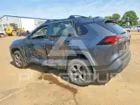 2023 Toyota RAV4 фото