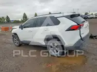 2023 Toyota RAV4 фото