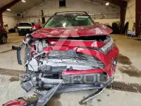 2023 Toyota RAV4 фото