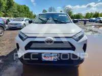 2023 Toyota RAV4 photo