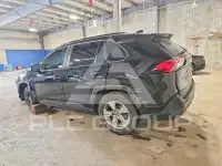 2023 Toyota RAV4 фото