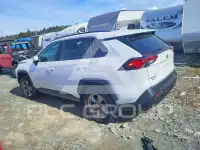 2023 Toyota RAV4 фото
