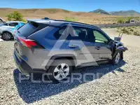 2023 Toyota RAV4 photo