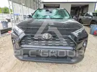 2023 Toyota RAV4 фото