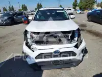 2023 Toyota RAV4 фото