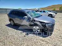 2023 Toyota RAV4 photo