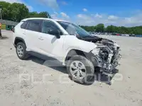 2023 Toyota RAV4 photo