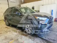 2023 Toyota RAV4 фото