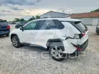 2023 Toyota RAV4 фото