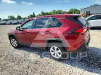 2023 Toyota RAV4 photo
