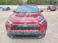 2023 Toyota RAV4 фото