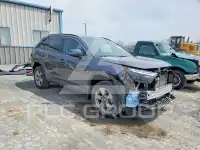 2023 Toyota RAV4 фото