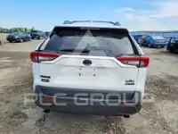 2023 Toyota RAV4 фото