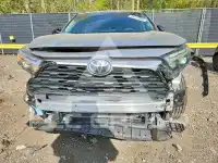 2023 Toyota RAV4 photo