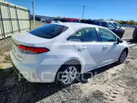 2023 Toyota COROLLA photo