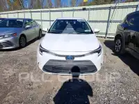 2023 Toyota COROLLA photo