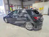 2023 Toyota COROLLA фото