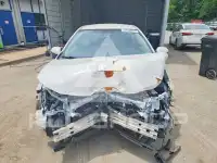 2023 Toyota COROLLA photo